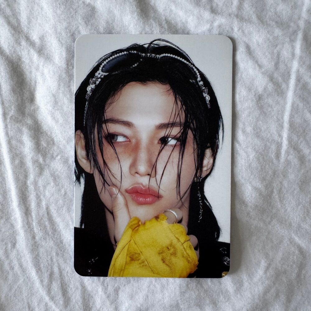 Stray Kids Felix karma skzoo set photocard